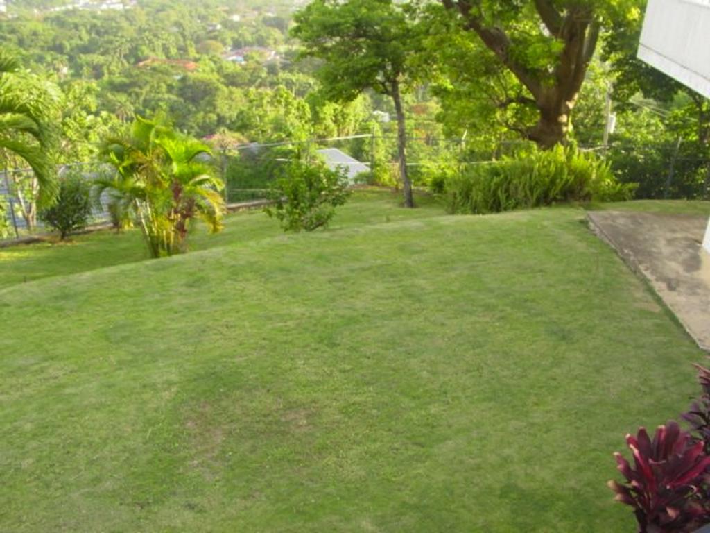 Hill Top Kingston Jamaica 외부 사진