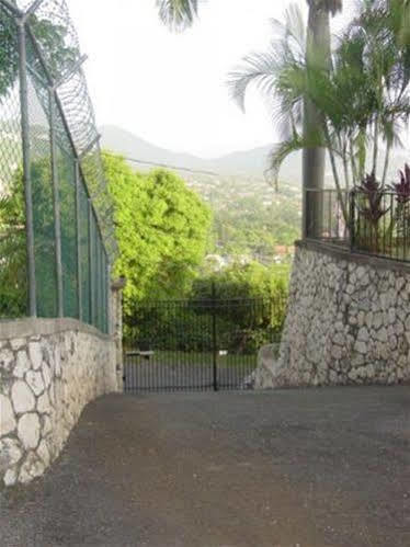 Hill Top Kingston Jamaica 외부 사진